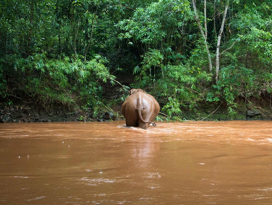 attraction-What to see in Mundolkiri Elephants Trek.jpg